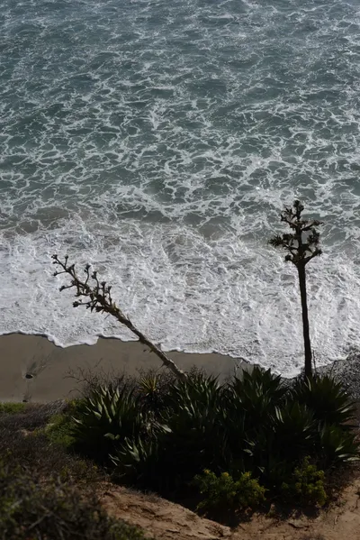 DSC_6983 (Large).JPG